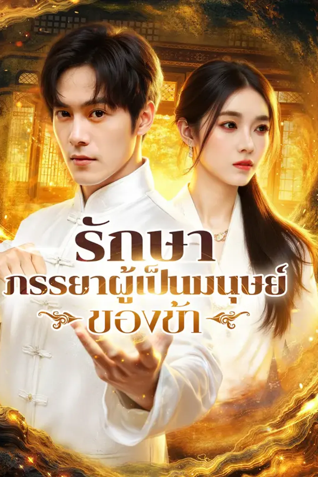 โปสเตอร์ รักษา ภรรยาผู้เป็นมนุษย์ของข้า
